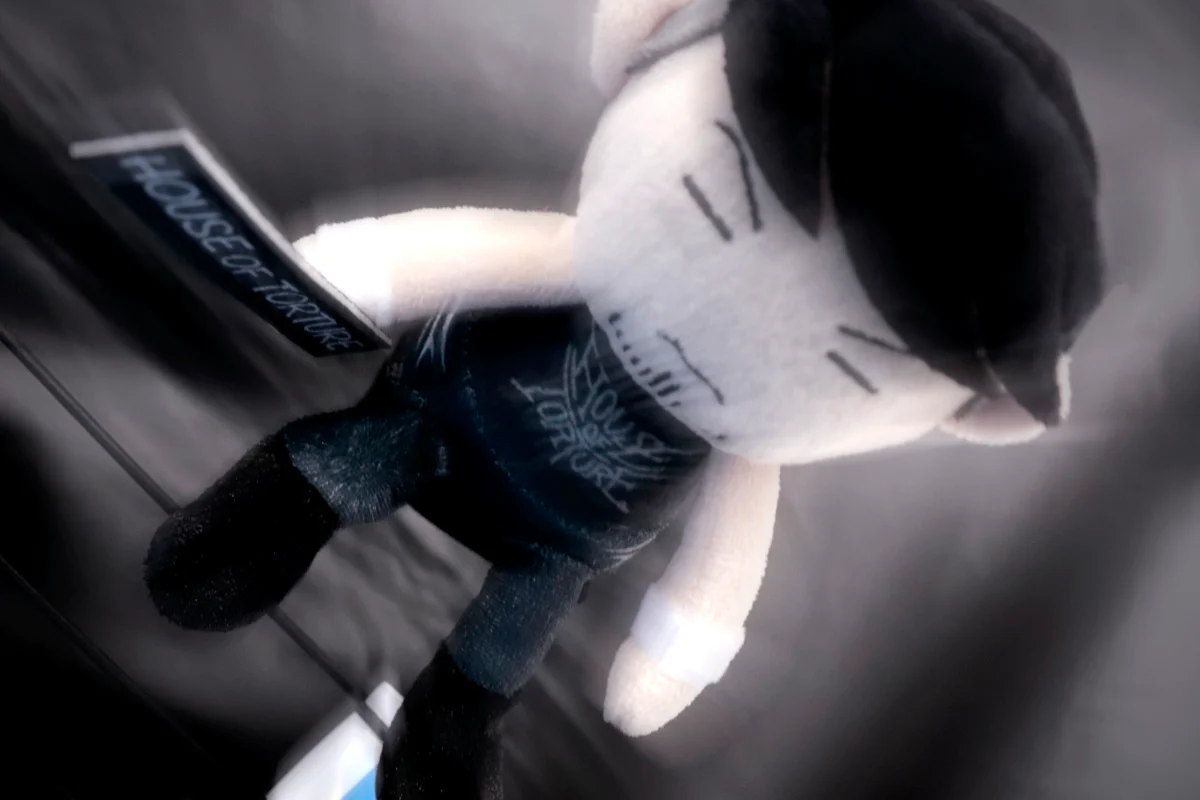 ぴょんすけ 成田蓮